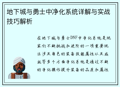 地下城与勇士中净化系统详解与实战技巧解析